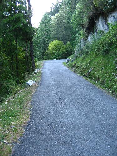 Serene stretch of road in Dalhousie - This is the stretch of road leading to Subhash Bowli, an eternal spring.There is a small enclosure and a sitout with a cement bench here. The water is pure, crystal clear and has all the goodness of the great Himalayan mountain spring.