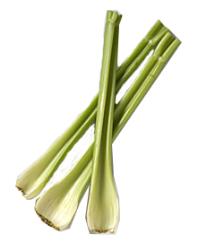 celery - I hate the taste and smell of it.