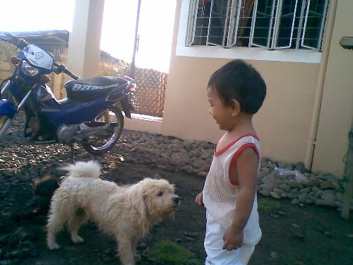 moshi - my son playing with Moshi!