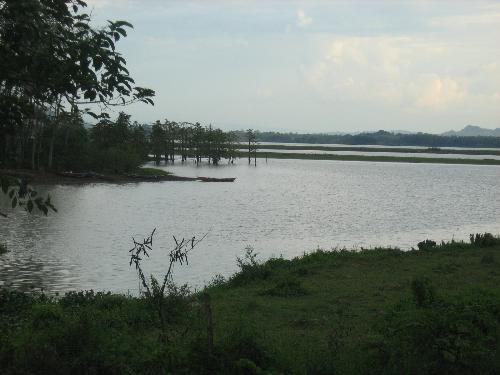 scenery - Taken last January 2009 at RR Family Spring Resort. This is a view of the mangima river at Bukidnon Province, Mindanao, Philippines.