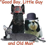 Good Boy, Little Guy and Old Man Logo - This is the logo for my new business. What do you think?