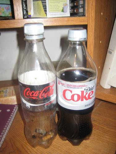 a Swedish & American Coke! - On the left is the diet coke (or, as it's called in Sweden, a 'Coca-Cola light') from Sweden, and on the right is an ordinary Diet Coke from the US. Maybe I'm amused too easily, but I found their differences to be quite interesting! With the Swedish bottles, you get half a liter, and the bottle is slimmer and has a metallic design and a different name. I've also heard that they cost somewhere around $3 USD and actually contain less chemicals than the American Diet Coke (not sure if this is necessarily true or not). I just thought this was interesting!