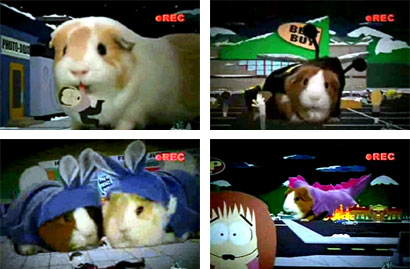 Pandemic II - Screenies from the South Park episode Pandemic II: The Startling. If you love guinea pigs you have to see this episode. No pigs were harmed during the filming of it.