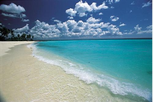 Dominican Beach - This is one of the most beatiful beaches in the Dominican Republic. :-)