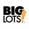Big Lots - My Favorite Place to shop, and a great place with the economy like it is. Every penny saved is a big deal now.