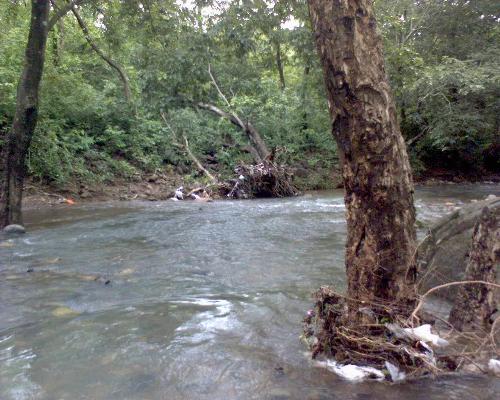 Streams of Water - God made the nature so beautiful anyone will fall in love with it.....