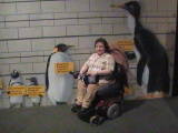At the Penguin Exhibit - This is the penguin exhibit at the museum in Va. Beach. Chip collects penguins and we just had to go.