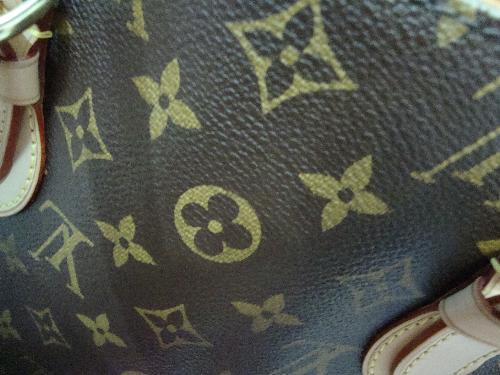 Macro Shot of LV - Reminds me that I have to keep this LV clean and neat... since it is expensive...  Love the picture of it coz the color is clear and detailed...