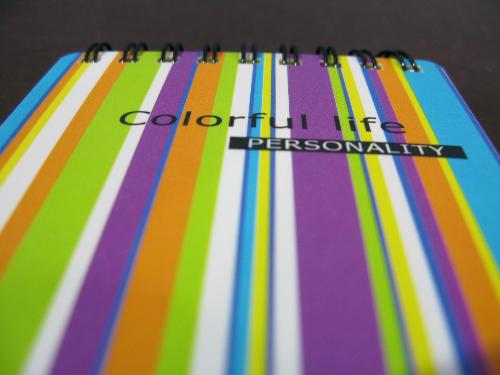 Colorful Stripe of mini journal - has the focus on the journal with little blurry on the edges...It is hard to catch that effect...woohoo!