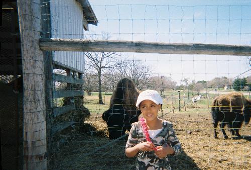 Great Niece and Buffalo - This is my niece at the park in Wadena Mn. With the big buffalo behind her.