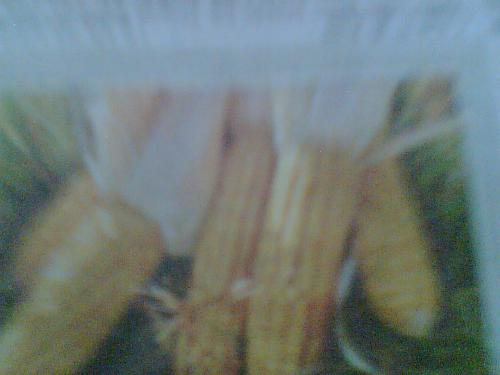 Maize - Maize is a corn which fulfill the demands of foods of the poor people of Africa and Asia. But recently the scientists of Spain and Germany invented one kind of maize which has three types of Vitamins.