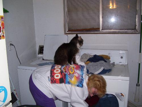 Me and Fluffy - Fluffy decided my back was the perfect perch while I was putting clothes in the dryer.