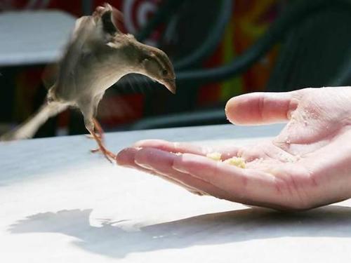 touching lives - when was the last time you did something for another? without waiting for something in return.  touching lives can be done in simple ways... in the most unexpected places. it takes only a moment...