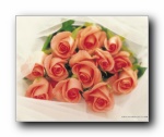 Flower1 - Greetings