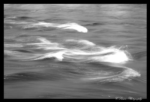 Waves - Slowed down the shutter speed and ended up with a pretty cool shot.