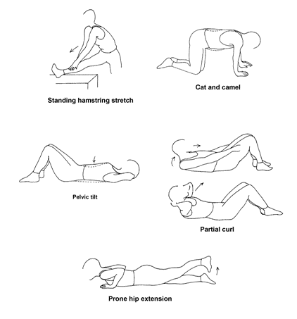 Back pain exercise - Back pain exercise for everybody, helps treat the back pain for all ages.