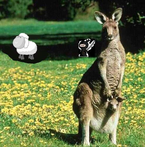 kangaroo, sheep and a ninja living in harmony - a kangaroo a sheep and a ninja, all living in the same forest in harmony