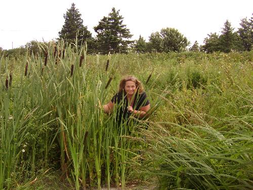 me - Me hiding behind bullrushes on the south shore of nova scotia