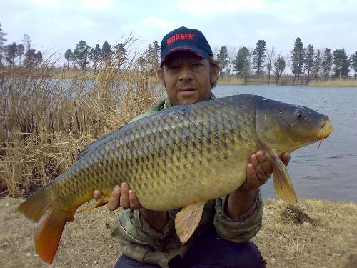 Big carp - This is my personal best carp but it is concidred average in my country. We have some huge carp in our waters.