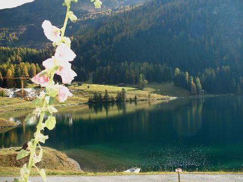 blue green lake - This photo was taken on our way to St. Moritz Switzerland. The view was splendid we have to stop and have some coffee while savoring this beautiful view in front of us.