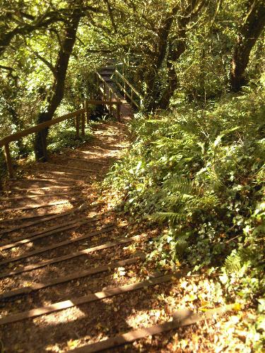 rusty stairs - wooden walkway through the cliff tops