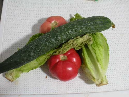 vegetable - health eating