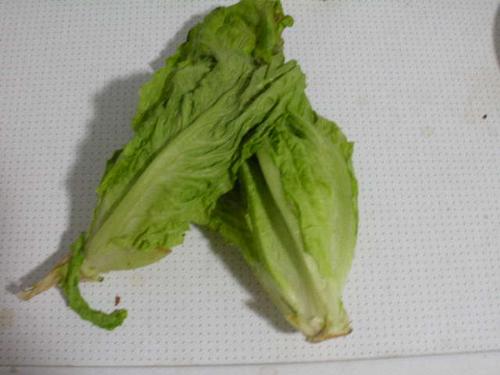 vegetable - healthy eating