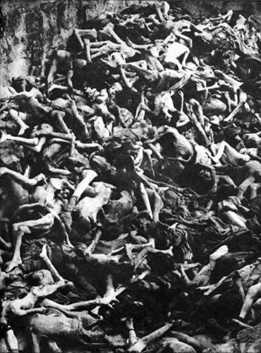 Yes, the Holocaust happened - For those who believe it was just a myth.