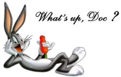 What's up Doc? - this is bugs bunny laying on his side with a carrot saying what's up doc?