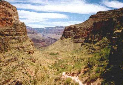 Grand canyon - The south rim of the Grand canyon.National parks