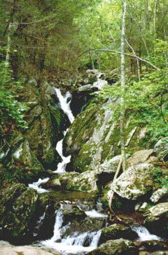 Shenandoah  - Shenandoah national park part of the appalachian trail