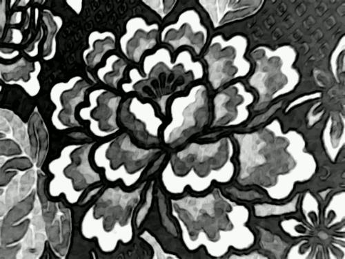 Black flower...my photo - Well, to tell you the secret of the photo... I shot that in a bedsheet in my room and then did some editing in my mobile phone... The true color of that flower is green... I would really appreciate if you give rate it and give it a comment..
