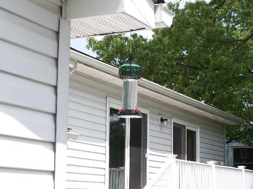 Hummingbird feeder - It's empty now but hopefully wont be for long!