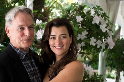 mark and cote - ncis press conference 04/22/09 at four seasons sheraton hotel