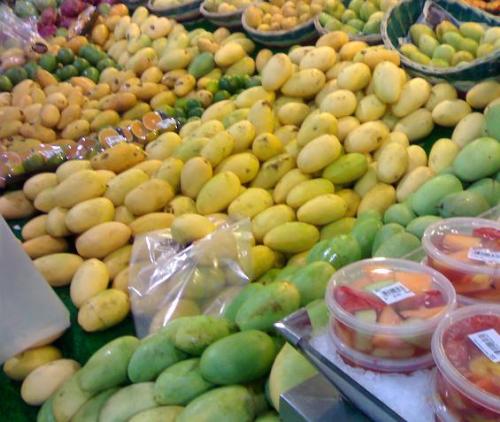 fruits - picture of ripe mango and green mango fruits