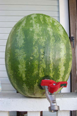 tapped watermelon - watermelon juice extracted with tap