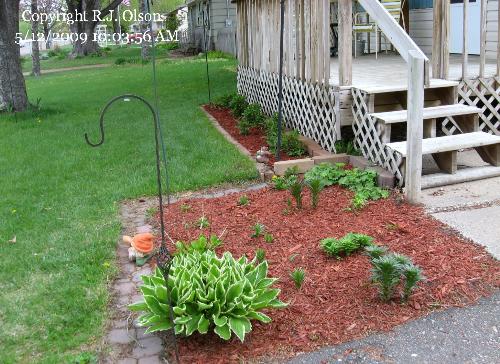 New Mulch added - I still need a couple more bags for 
other flower beds and one apple tree.