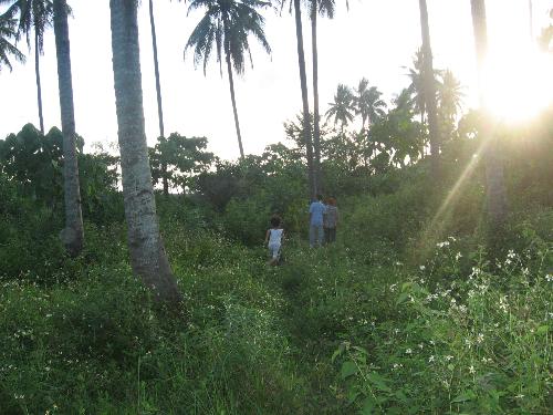 I love NATURE! - Taken at my friends place in Panacan, Davao City.