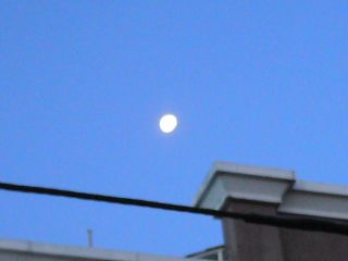 The Moon Had Replaced The Sun - I took a snapshot of the moon, shining bright in the 6 am sky.