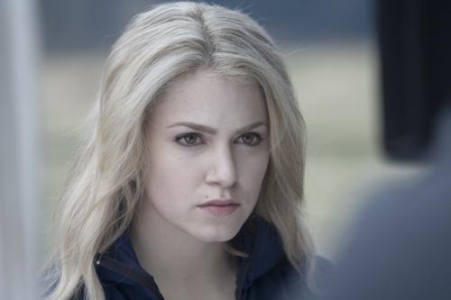 Rose - Rosalie Hale
