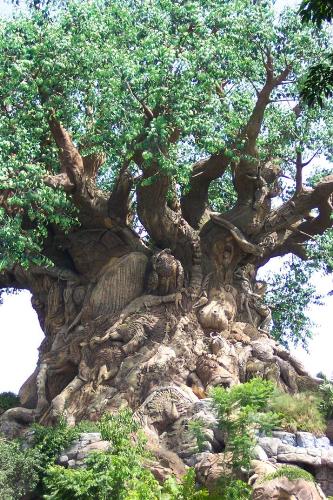 A Mysterious Tree In India - It has an engraved different creatures in the whole bark of the tree.