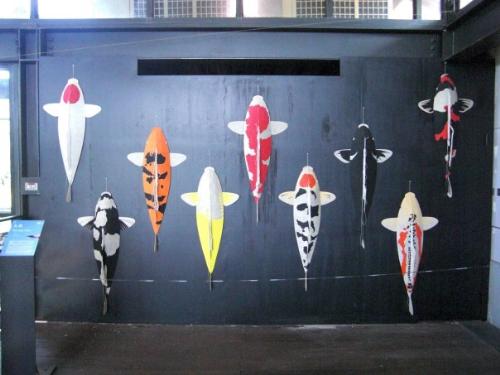 Nine fishes - The nine fishes means lucky for old taiwan people