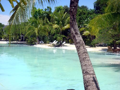 Beach and Coconut Trees - What else is more beautiful than lying in a white sand beach under the coconut trees.