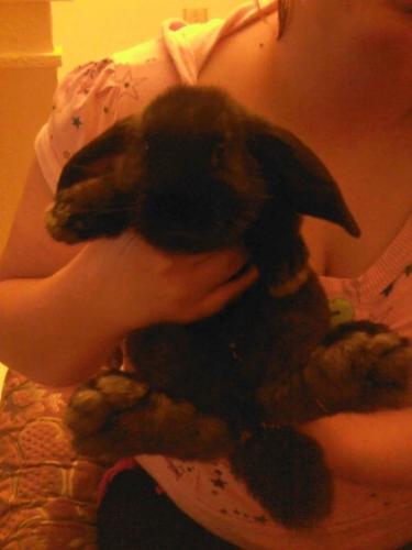 my baby - my baby sugar :)