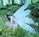 fairy - Hmmm... this is asking for details, i like fairies therefore I have uploaded a picture of a fairy :s lol