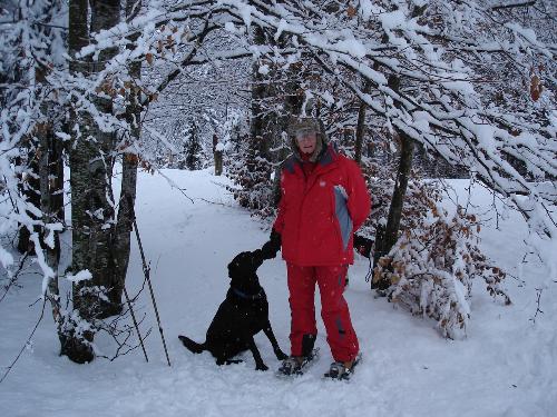 Louis and labrador and I enjoying a snowy walk - Louis loves being in the water - frozen or otherwise! Although getting a bit slower now with his arthritis, he still loves an outing.