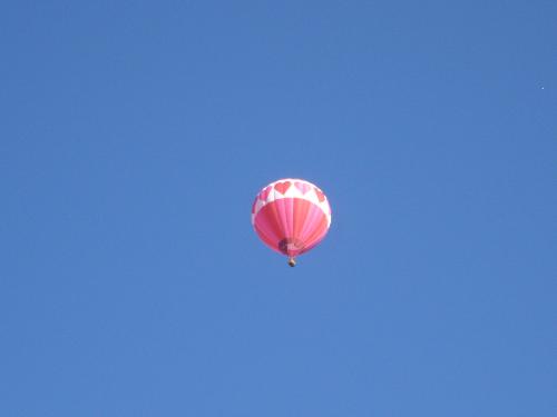 Hot Air Balloons - Have you ever been in a Hot Air balloon? How was the experience. In New Mexico during the first and second weeks of October its Balloon Festival time here. When you wake in the morning the sky above your house could be filled with balloons of all shapes and sizes. Its a beautiful sight to see. I have never been in myself I'm afraid of heights.