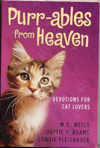 Book That I&#039;m Reading Now - It&#039;s a bunch of inspirational short stories that have been connected to God&#039;s work. It&#039;s a really great book!