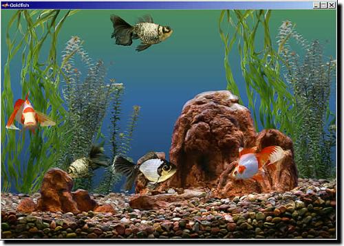 What do I do, I am leaving for long weekend and I  - What do I do? I am leaving for a long weekensd and cannot take care of my fish.