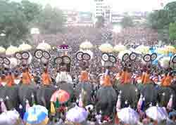 Trissur Pooram of Kerala - the trissur pooram is a very important temple festival of kerala. seen in this photo is the popular event of 'parasol display' which takes place atop elephants.